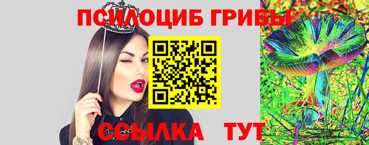 Галлюциногенные грибы Cubensis Канск