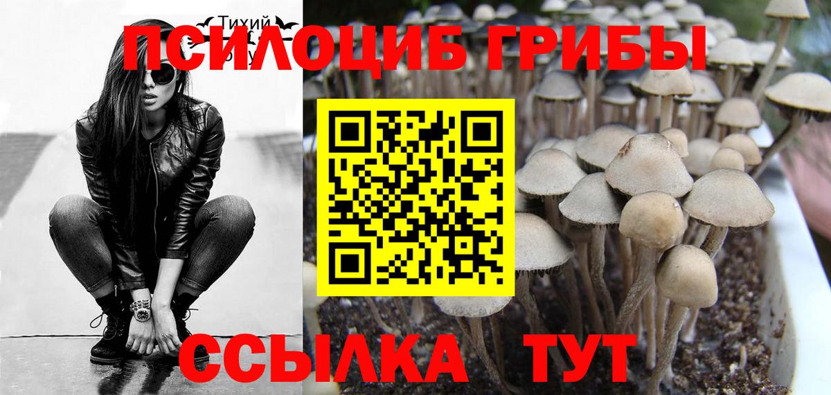Галлюциногенные грибы прущие грибы  Вход с VPN  Галлюциногенные грибы Cubensis  Канск 