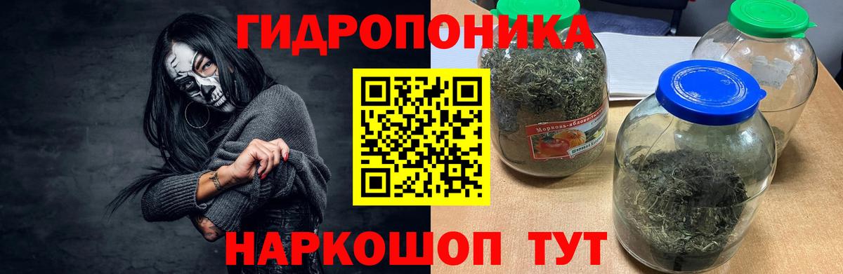Конопля White Widow  Вход с VPN  Бошки Шишки MAZAR  Канск  Каннабис конопля 