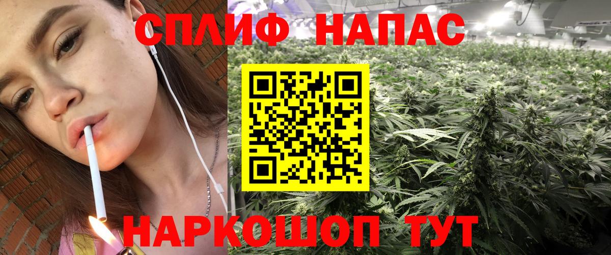 Бошки марихуана конопля Канск